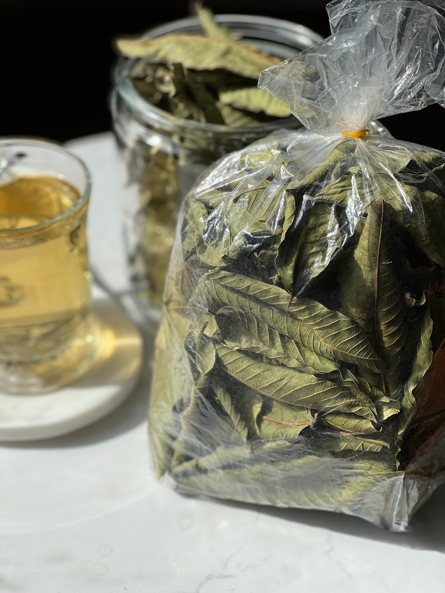 Premium, Organic Guava Leaves