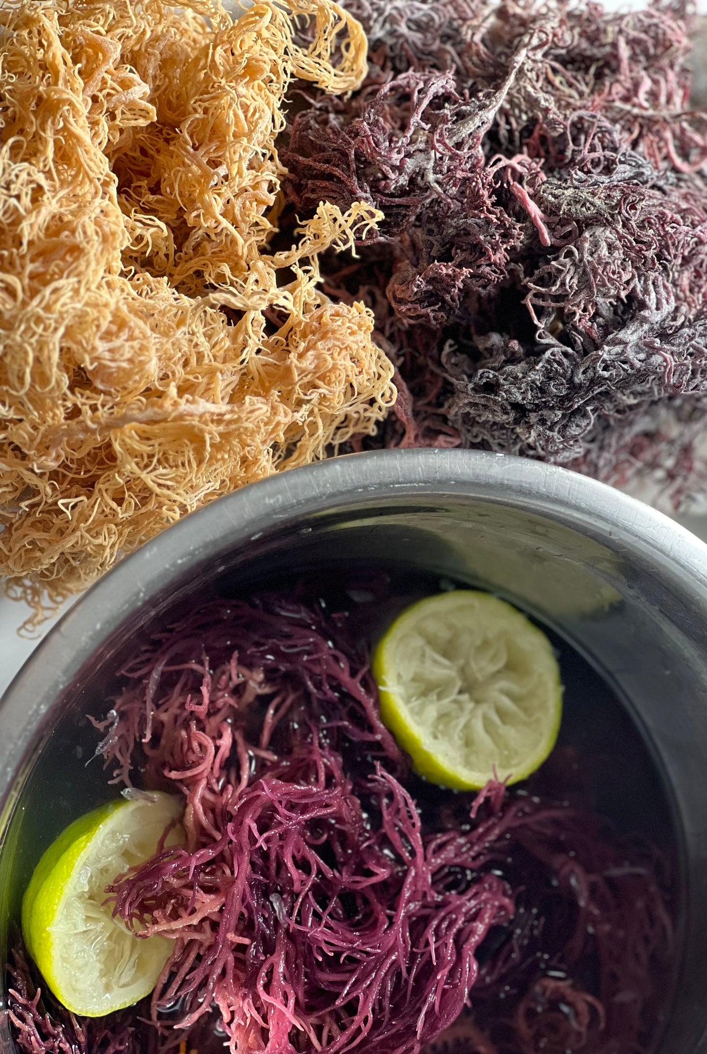 Premium Purple Wildcrafted Sea Moss - Handpicked, Organic & Dried