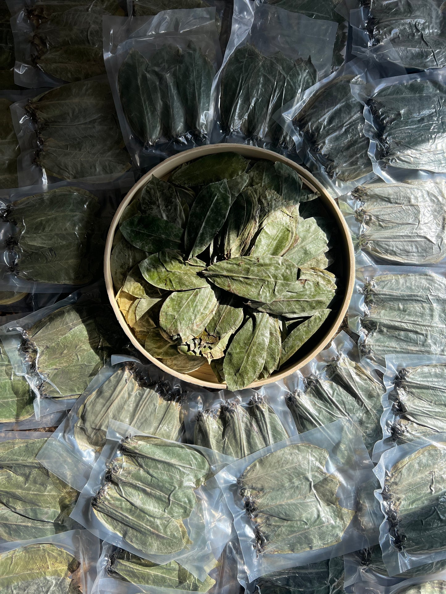 Real Organic Dried Wild Harvested Soursop Leaves
