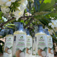 Organic Cold-Pressed Virgin Coconut Oil | 250 ml