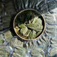 Real Organic Dried Wild Harvested Soursop Leaves