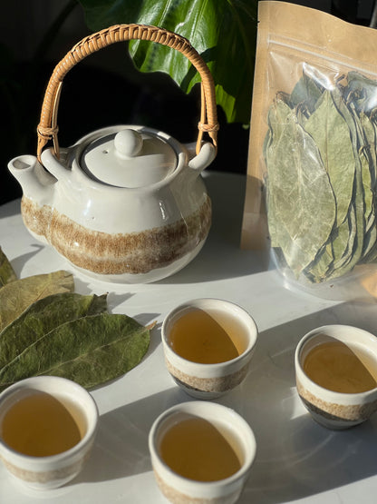 Organic Soursop Leaves