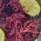 Premium Purple Wildcrafted Sea Moss - Handpicked, Organic & Dried